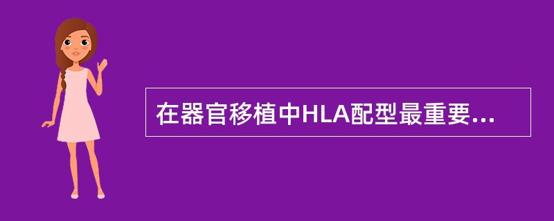 在器官移植中HLA配型最重要的位点是（）