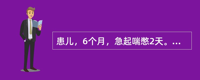 患儿，6个月，急起喘憋2天。体检：体温38.1℃，呼吸80次／分，烦躁不安，满肺