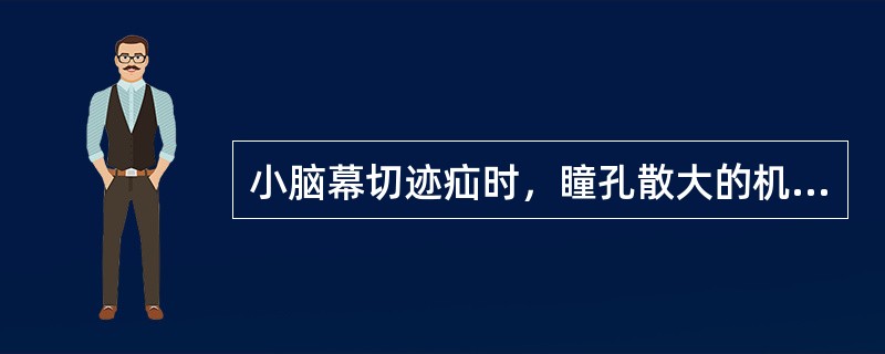 小脑幕切迹疝时，瞳孔散大的机制是（）。