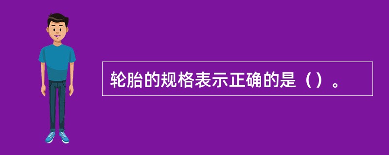 轮胎的规格表示正确的是（）。