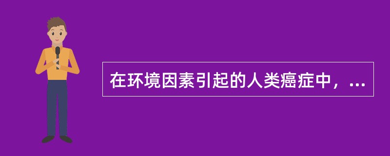 在环境因素引起的人类癌症中，占主要地位的是（）