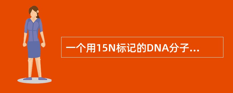 一个用15N标记的DNA分子有1200个碱基对，其中腺嘌呤700个。该DNA分子