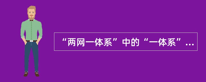 “两网一体系”中的“一体系”指的是（）。