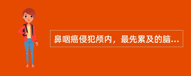 鼻咽癌侵犯颅内，最先累及的脑神经是（）