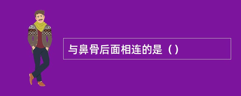 与鼻骨后面相连的是（）
