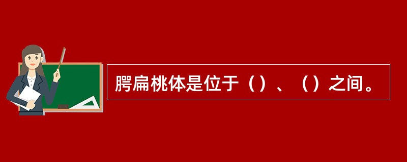 腭扁桃体是位于（）、（）之间。