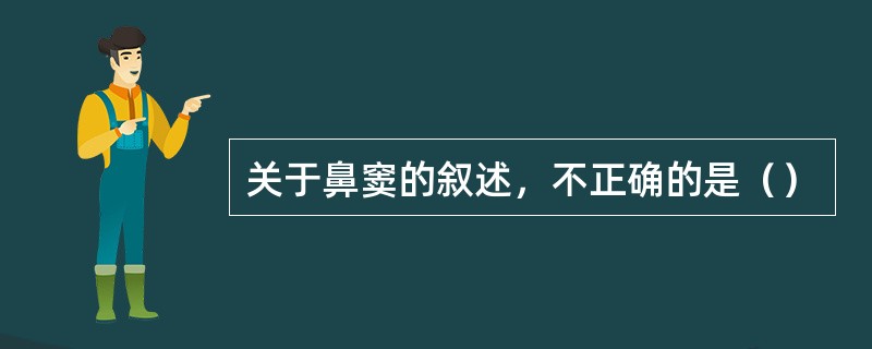 关于鼻窦的叙述，不正确的是（）