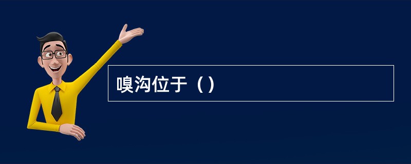 嗅沟位于（）