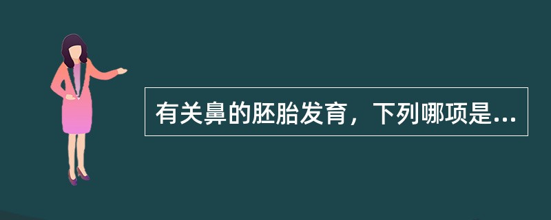 有关鼻的胚胎发育，下列哪项是对的（）