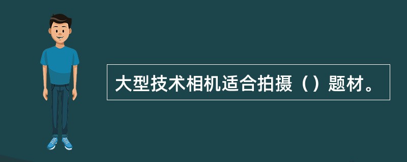 大型技术相机适合拍摄（）题材。