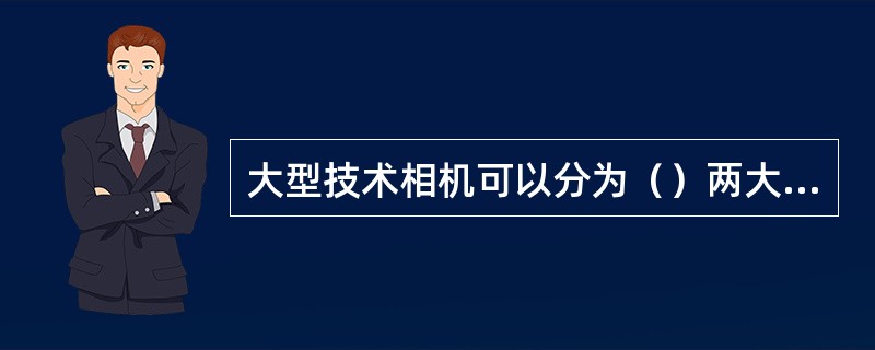 大型技术相机可以分为（）两大类。