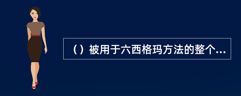 （）被用于六西格玛方法的整个流程。