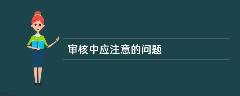 审核中应注意的问题