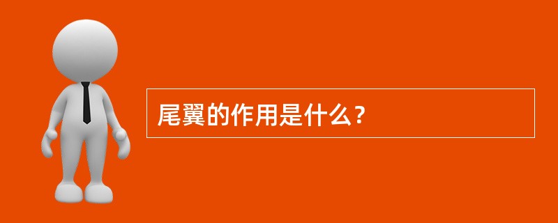 尾翼的作用是什么？