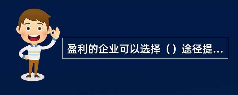 盈利的企业可以选择（）途径提高其投资回报率。