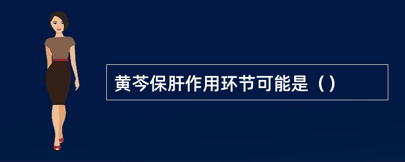 黄芩保肝作用环节可能是（）