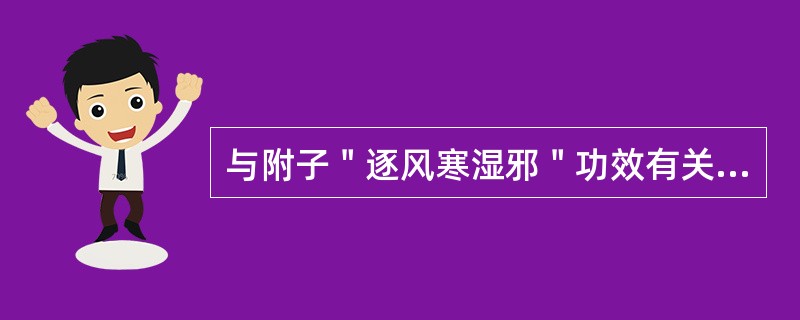 与附子＂逐风寒湿邪＂功效有关的药理作用（）