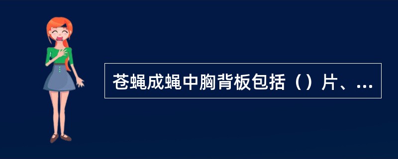 苍蝇成蝇中胸背板包括（）片、（）片和（）片。