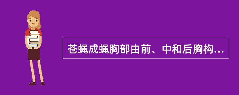 苍蝇成蝇胸部由前、中和后胸构成，但从背面看去见到的大部分是（）