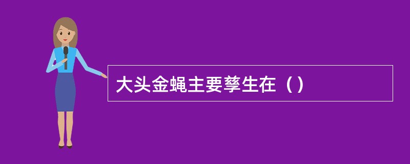 大头金蝇主要孳生在（）