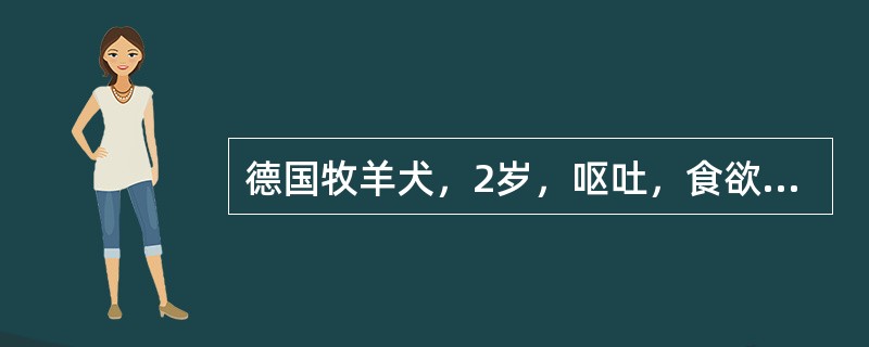 德国牧羊犬，2岁，呕吐，食欲废绝，体温正常，X线检查见肠管积气，直肠内有多量高密