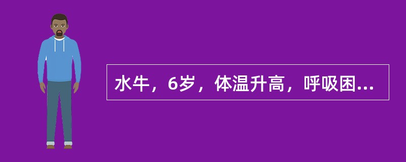 水牛，6岁，体温升高，呼吸困难，有干、痛短咳，叩诊胸部疼痛，听诊无摩擦音，胸腔穿