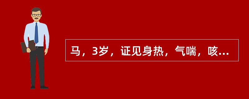 马，3岁，证见身热，气喘，咳嗽，鼻液黄稠，苔黄燥，脉洪数。可辨证为（）