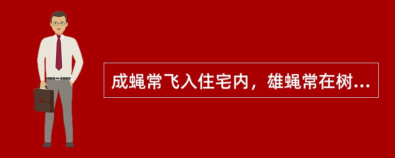 成蝇常飞入住宅内，雄蝇常在树荫下绕树干成群回飞，雌蝇则在附近随伴回飞的苍蝇是（）