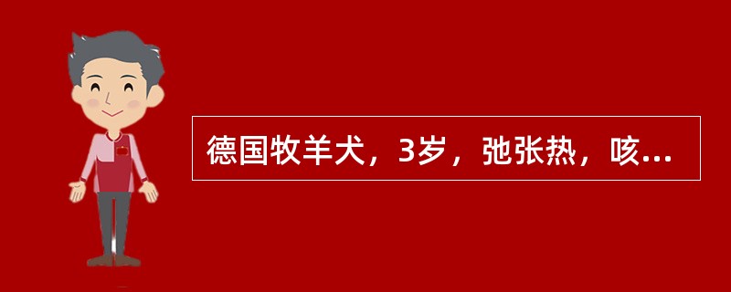 德国牧羊犬，3岁，弛张热，咳嗽，呼吸次数增加，胸部叩诊呈局灶性浊音区，X线检查可