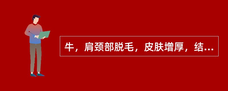 牛，肩颈部脱毛，皮肤增厚，结痂，刮取皮屑镜检见长圆形虫体，有足4对，均伸出体缘，