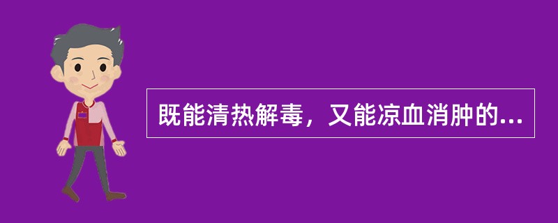 既能清热解毒，又能凉血消肿的药物是（）