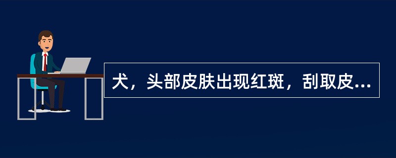 犬，头部皮肤出现红斑，刮取皮屑镜检见大量窄长虫体，有足4对，粗短，虫体后部体表有