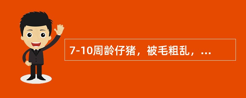 7-10周龄仔猪，被毛粗乱，呼吸困难，生长缓慢，腹股沟淋巴结肿大，剖检见间质性肺