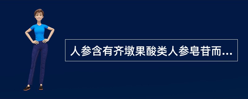 人参含有齐墩果酸类人参皂苷而具有保肝作用