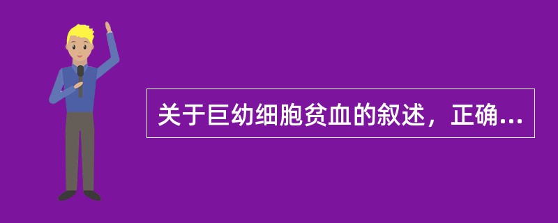 关于巨幼细胞贫血的叙述，正确的是（）