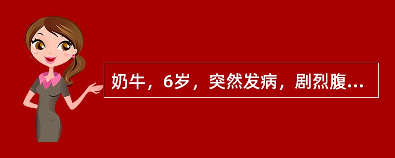 奶牛，6岁，突然发病，剧烈腹痛，应用镇静剂无效，瘤胃蠕动音、肠蠕动音明显减弱，随