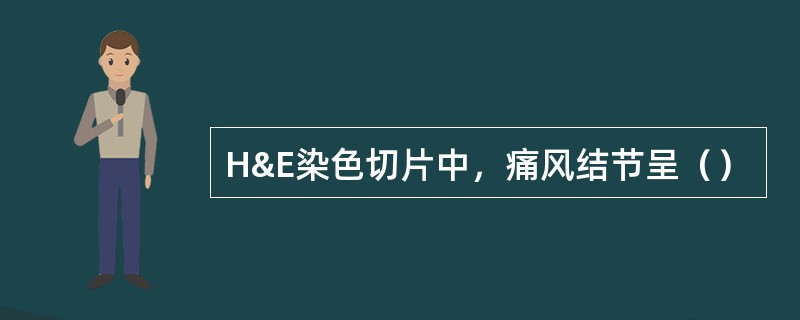 H&E染色切片中，痛风结节呈（）