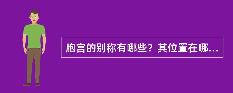 胞宫的别称有哪些？其位置在哪里？