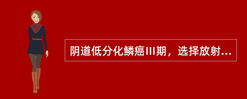 阴道低分化鳞癌Ⅲ期，选择放射治疗，照射方式为()