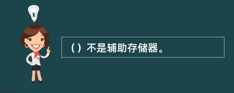 （）不是辅助存储器。