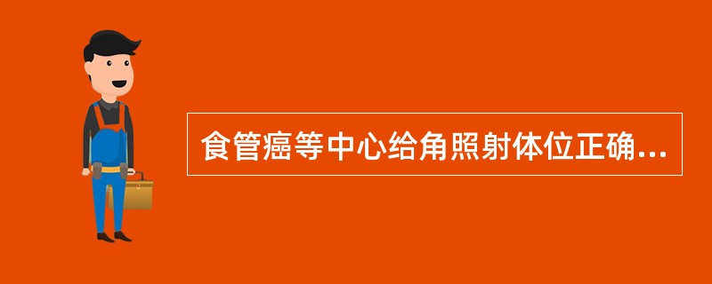 食管癌等中心给角照射体位正确情况下，以下各项要求哪项正确（）