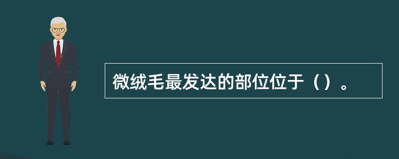 微绒毛最发达的部位位于（）。