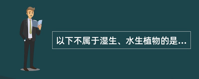 以下不属于湿生、水生植物的是（）。