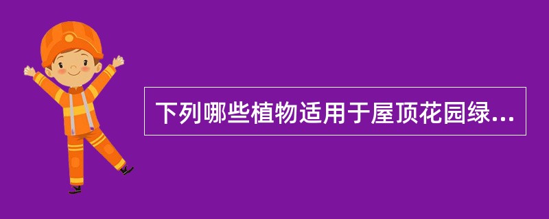 下列哪些植物适用于屋顶花园绿化。（）