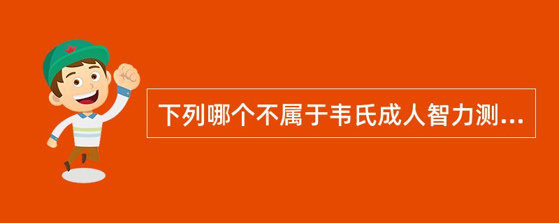 下列哪个不属于韦氏成人智力测验中的言语部分的分测验（）