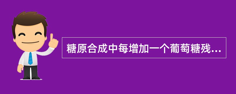 糖原合成中每增加一个葡萄糖残基需要消耗高能磷酸键的数目是（）