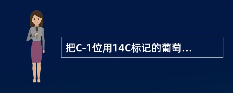 把C-1位用14C标记的葡萄糖与能进行糖酵解的无细胞提取物共同温育,标记物出现在 把C-1位用14C标记的葡萄糖与能进行糖酵解的无细胞提取物共同温育,标记物出现在