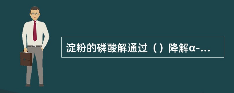 淀粉的磷酸解通过（）降解α-1，4糖苷键，通过（）酶降解α-1，6糖苷键。