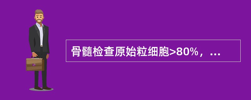 骨髓检查原始粒细胞>80%，早幼粒细胞>12%，诊断为（）。