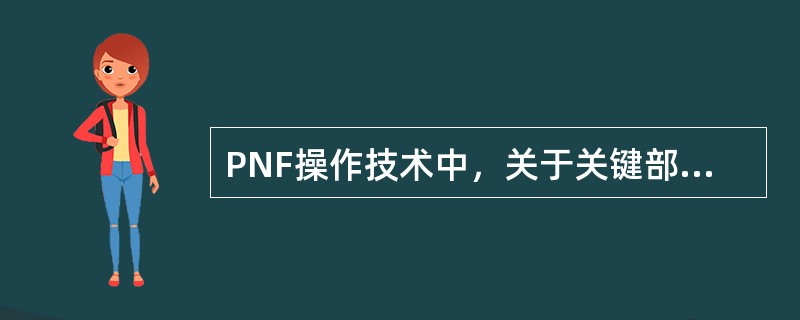 PNF操作技术中，关于关键部位（关键轴）的叙述正确的是（）。